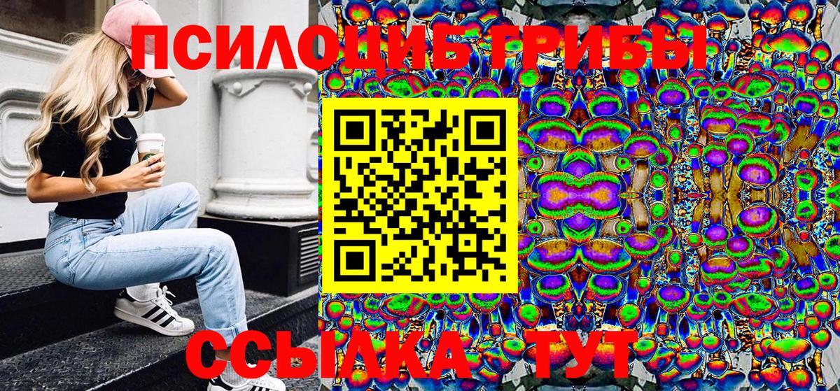 Будённовск  Галлюциногенные грибы Psilocybe  Вход с VPN 