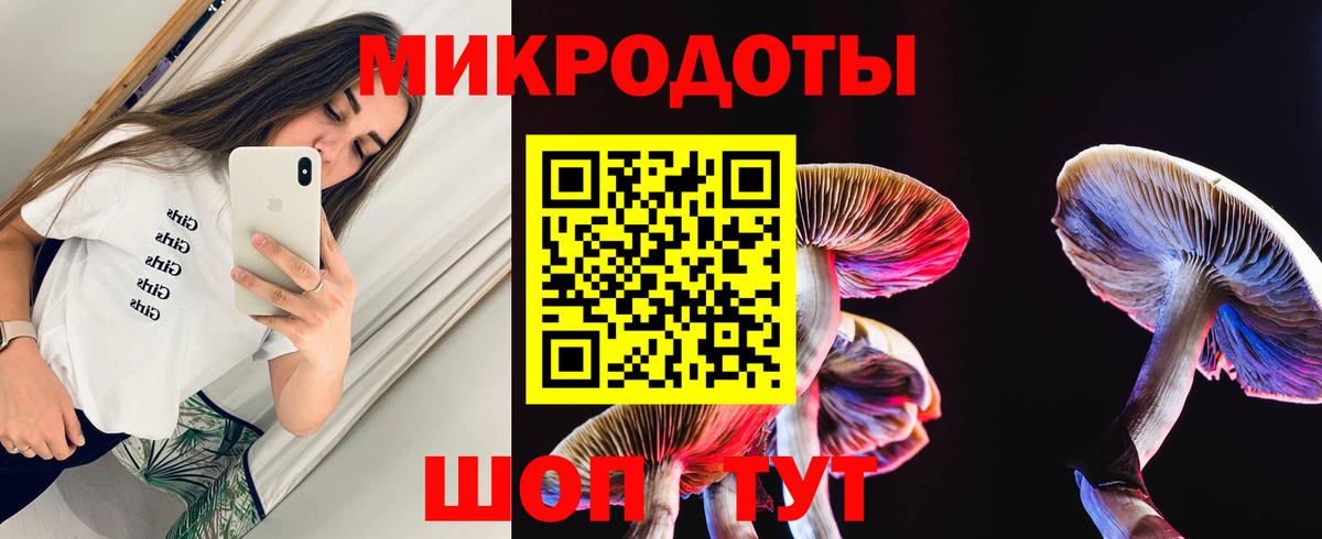 Псилоцибиновые грибы ЛСД Будённовск